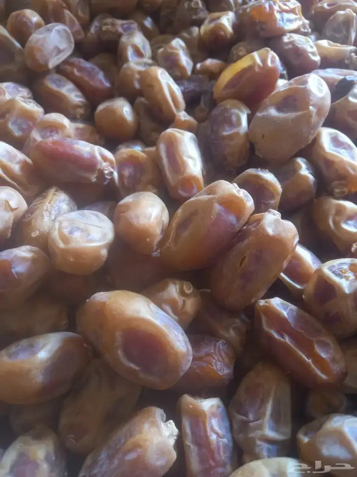 تمر خلاص 1