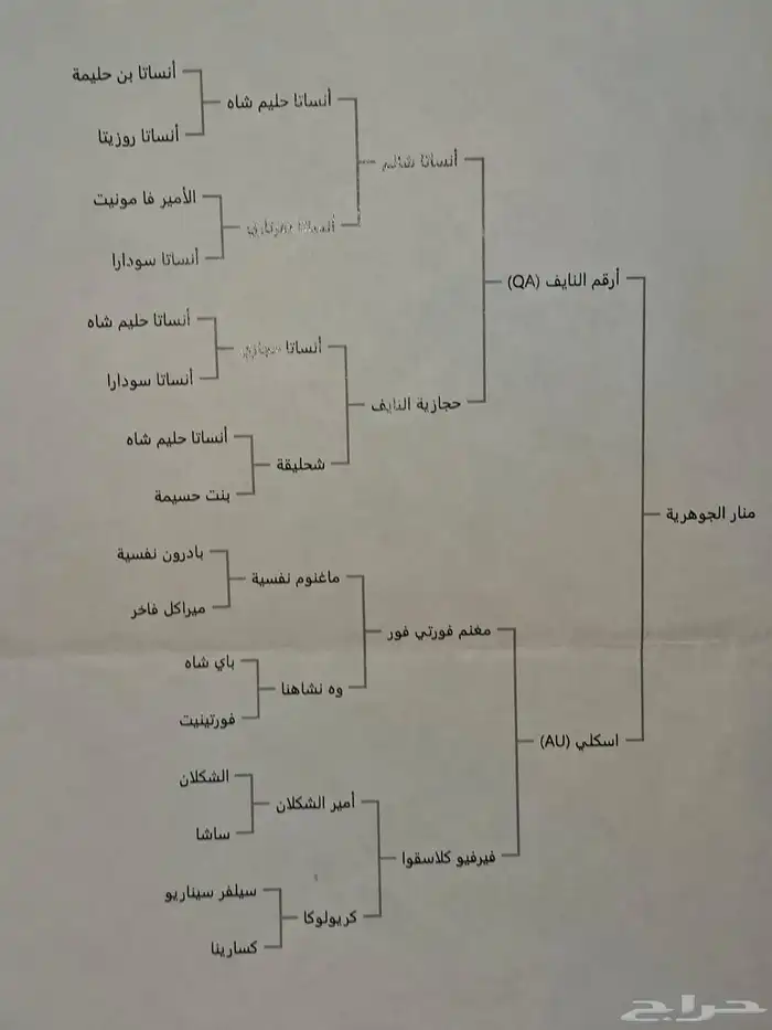خيل فرس مكس من افضل وا أطيب الفراس 5