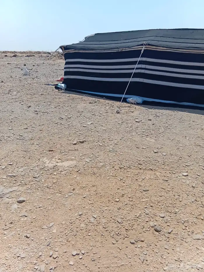 قطبه للبيع 1