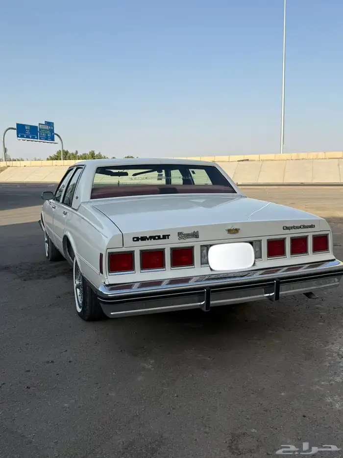 كابرس 1984 10