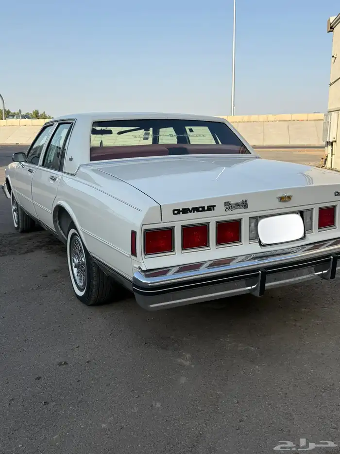 كابرس 1984 14
