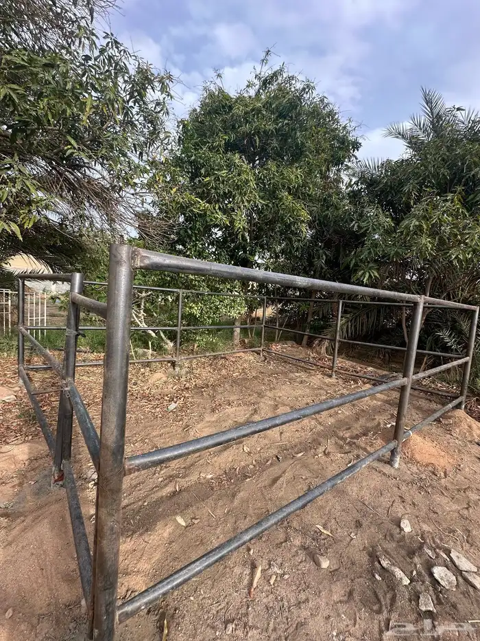 بيدوك للبيع 0