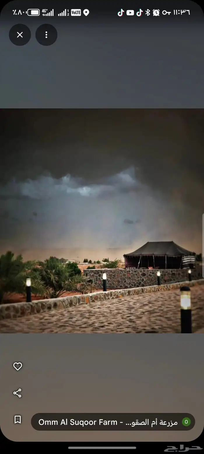 ابو صالح مقاول حجر وردميات وتربه زراعيه وجميع المواد رباريب 5