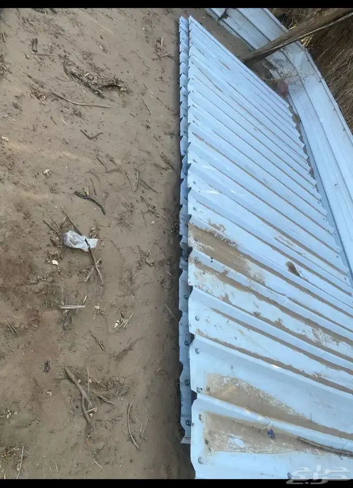 شبك 1