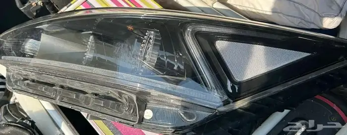 كادينزا 2018 1