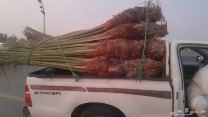 زبائن الكرام عندنا نهر متواجد في مكه الى عدد 26 فيها الاخلاص 8