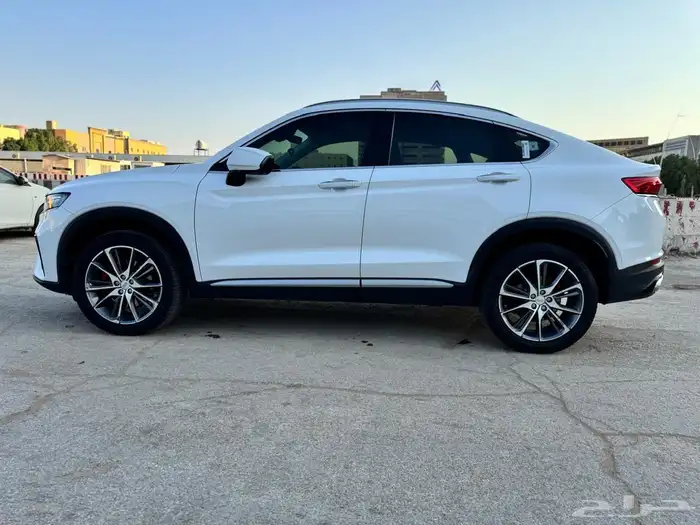 Geely TUGELLA 2023 19