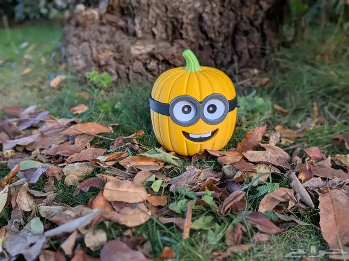 هالوين Halloween 5