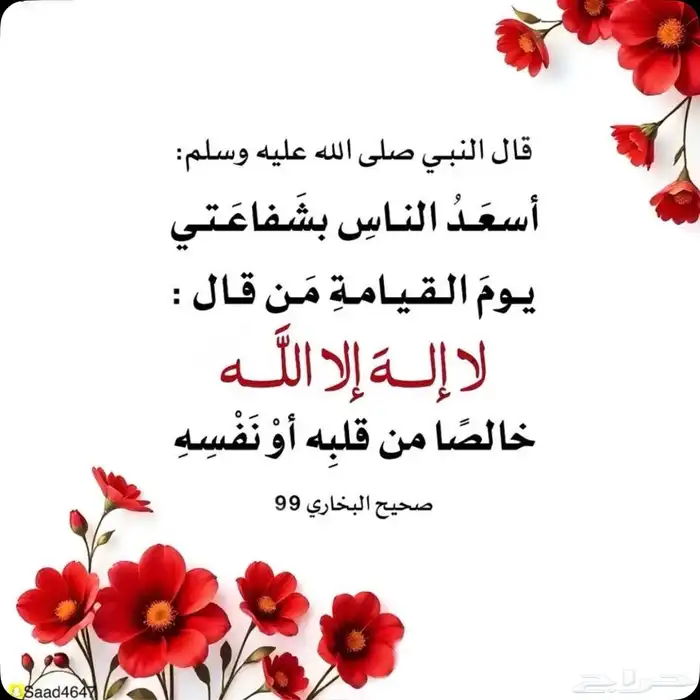 مطلوب ناقه حايل من الرباع وتحت لمناسبة زواج 0