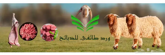 نوفر ذبائح مناسبات و ثلاجة وكشتات مع السلخ ولتوصيل 0