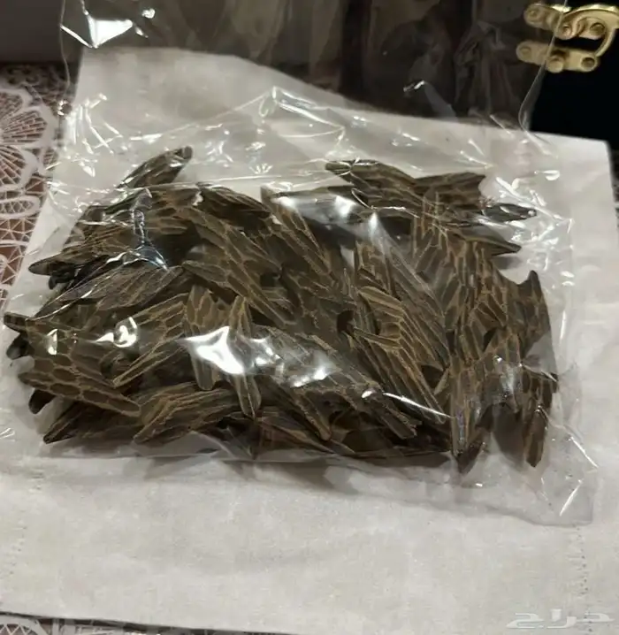 عود تايقر و كلمنتان 3
