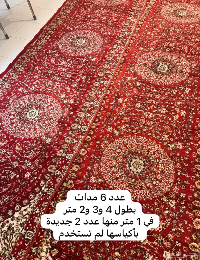 وينكم يا اهل الجلسات والمخيمات 0