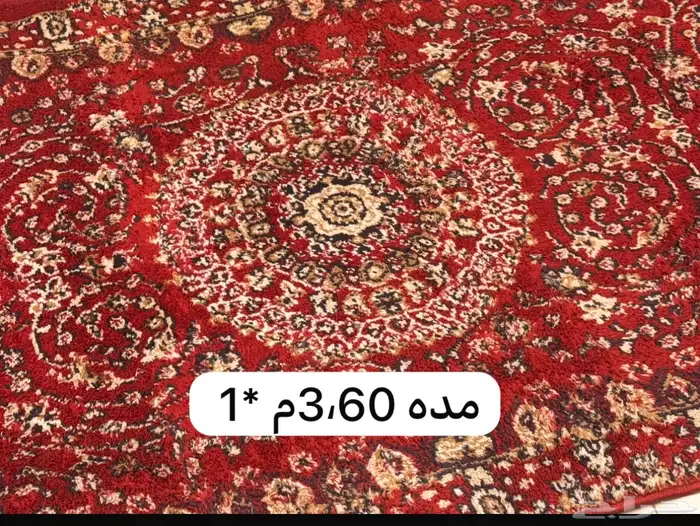 وينكم يا اهل الجلسات والمخيمات 11