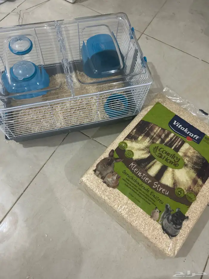 هامستر للبيع أنثى العمر شهرين (160) مع القفص و نشارة الخشب 1