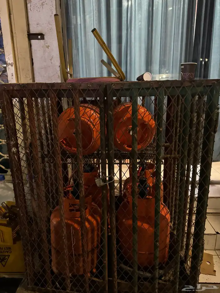 مطعم للتقبيل 24