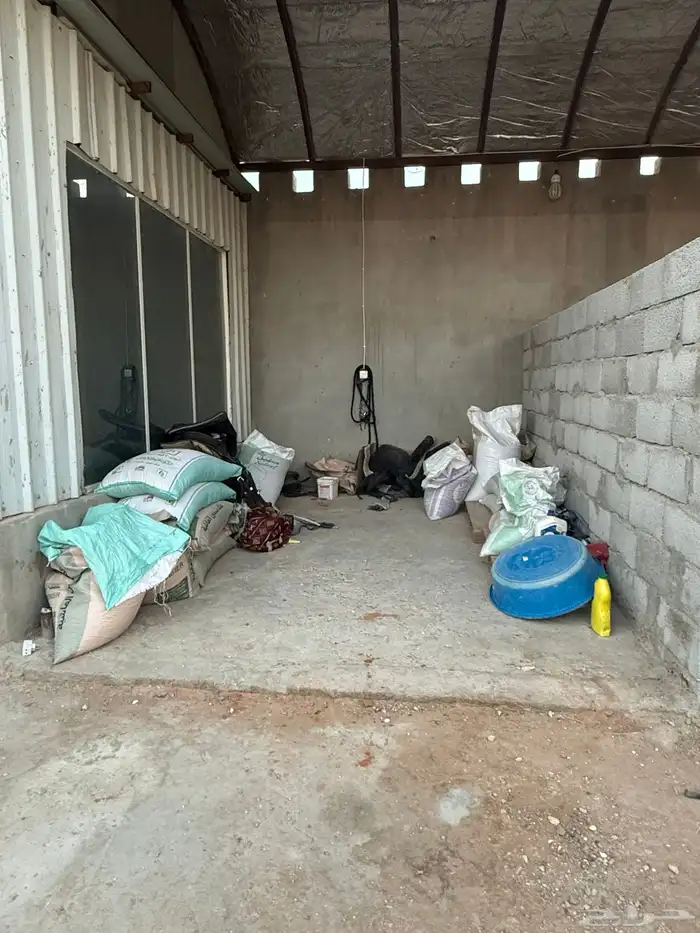 ايواء خيل  مفرق رماح 1