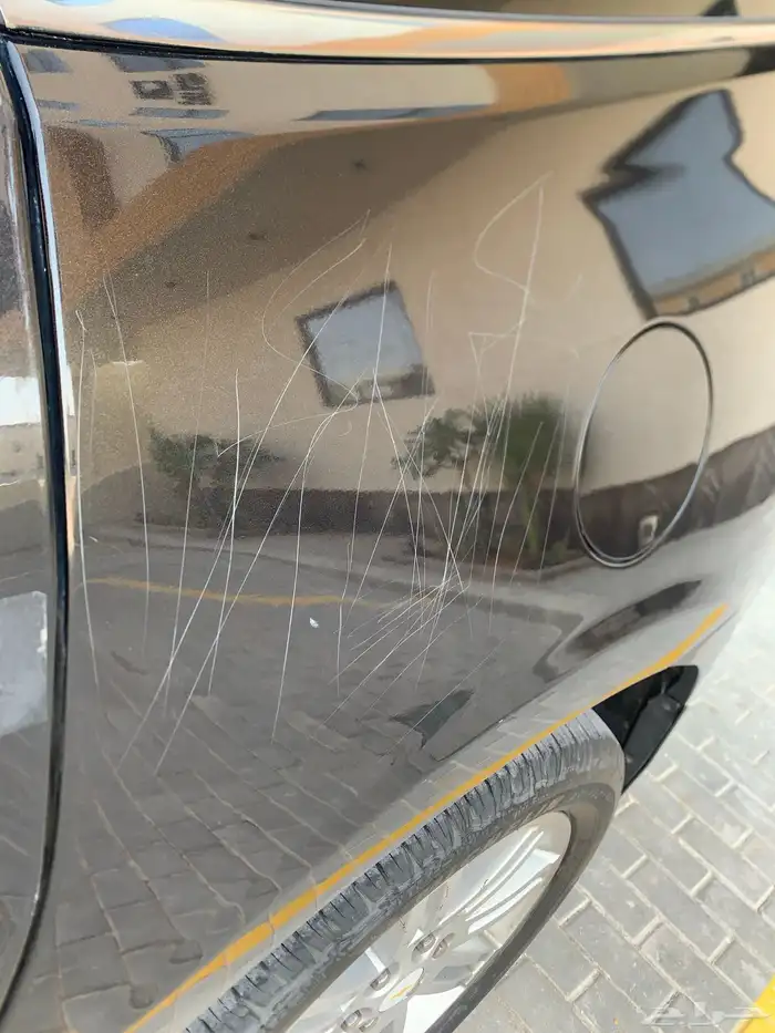 جيب شفر ترافيلس 2013 32