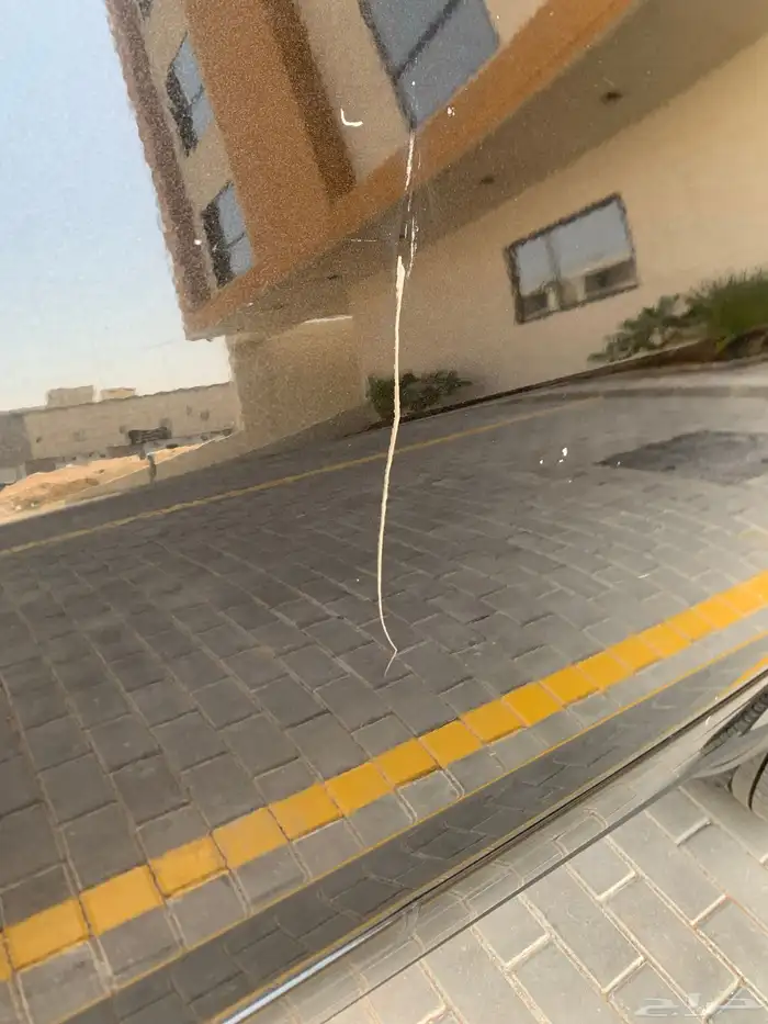 جيب شفر ترافيلس 2013 22