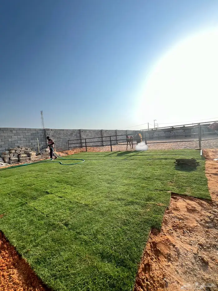 مربط اسطبل النجايب إيواء الخيل شمال الرياض 0