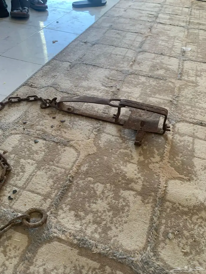 مصيدة ذياب قديمه 1