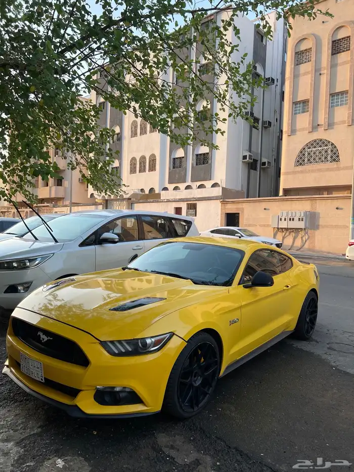 موستنج 2015 GT 0