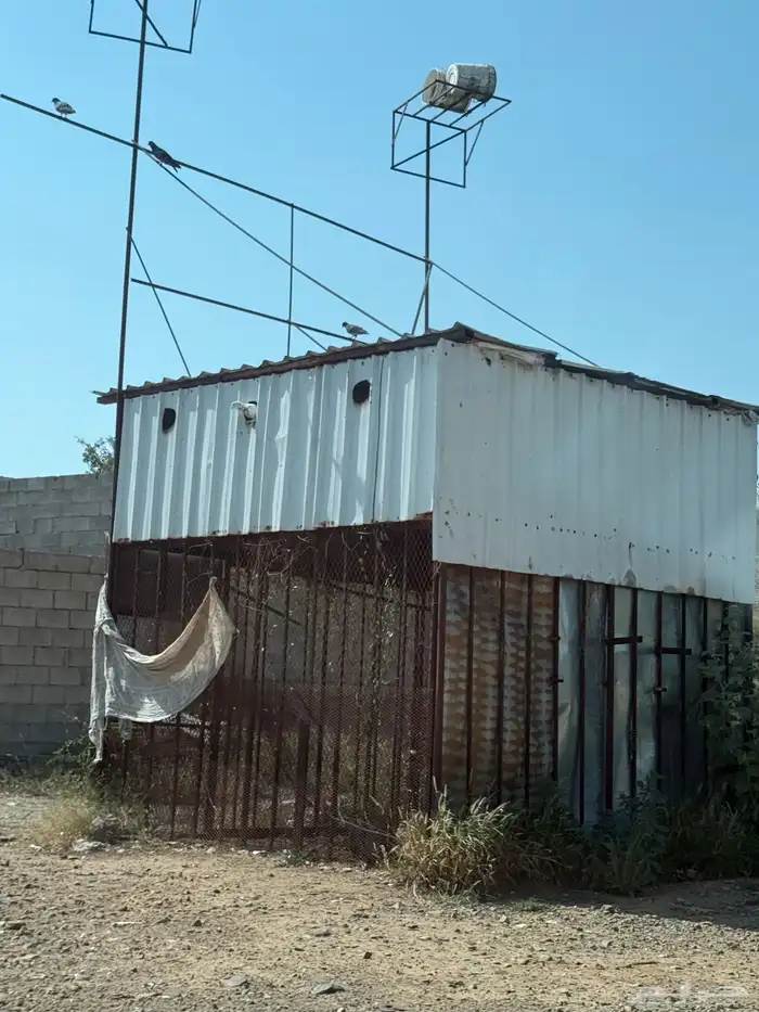 سكراب حدي زينك للبيع 2