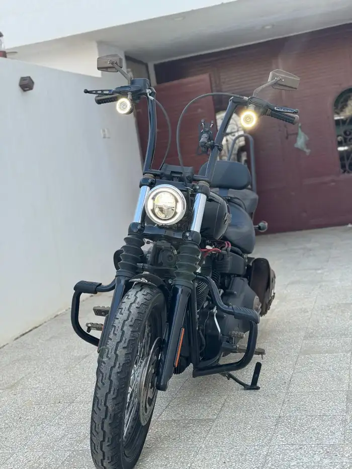 Harley Street Bob 2019   للبيع هارلي ستريت بوب 2019 1