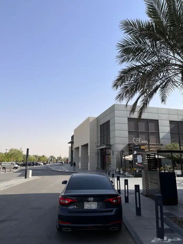 سوناتا 2018 10