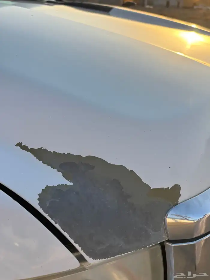 شفرولية سلفرادو HD2500 14