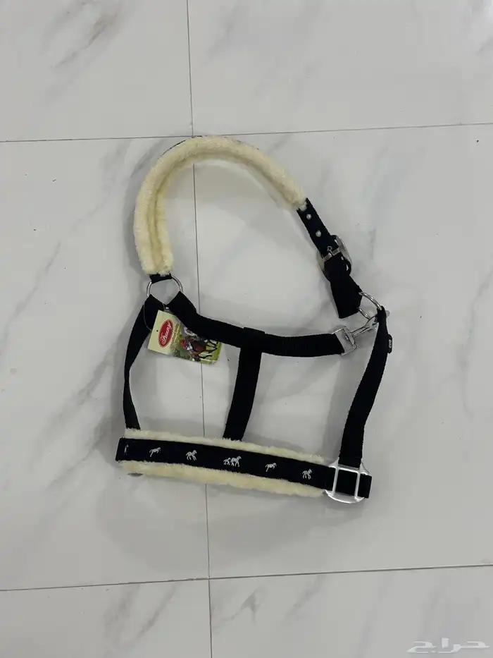 مستلزمات خيل 1