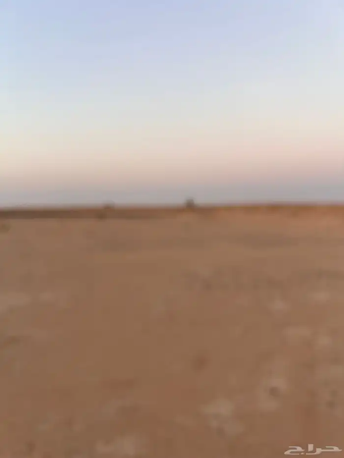 يوجد محل في طريق الجويه لي البيع 0
