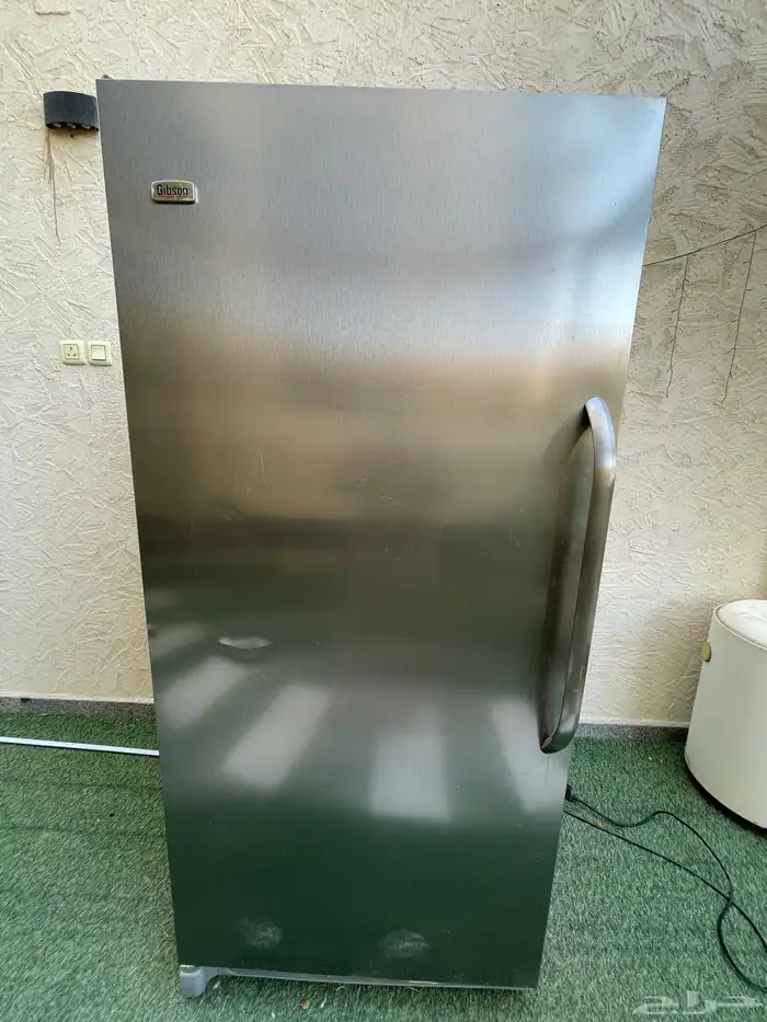 فريزر جيبسون واقف امريكي 3