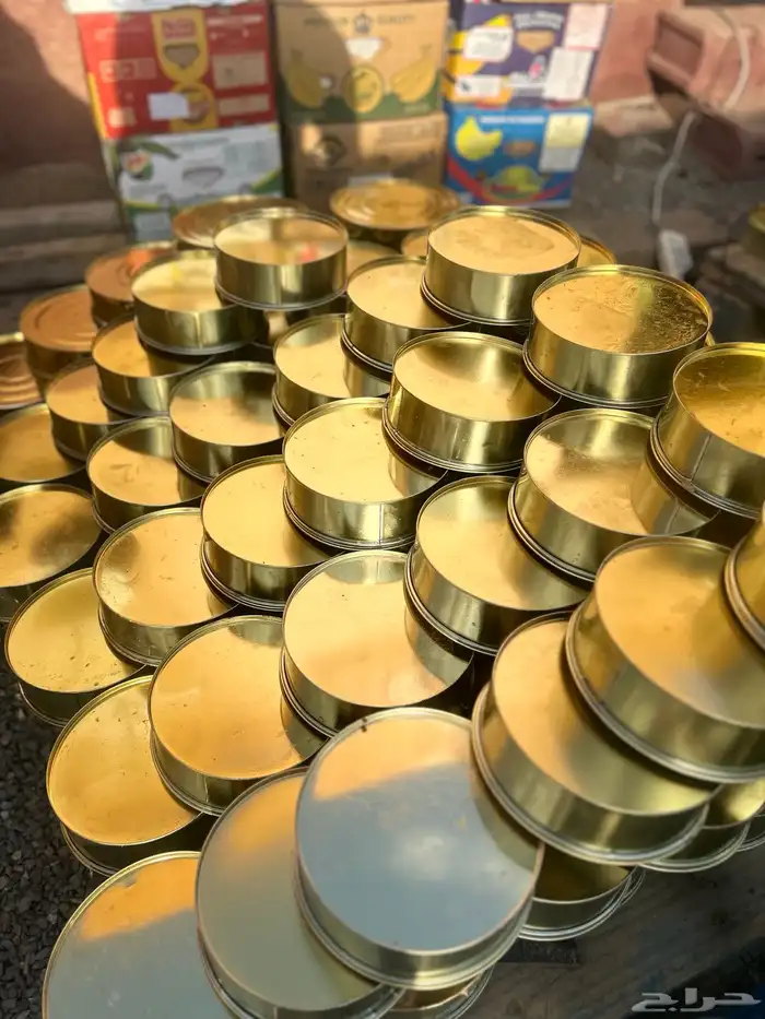 تمر صفري بيشه 4