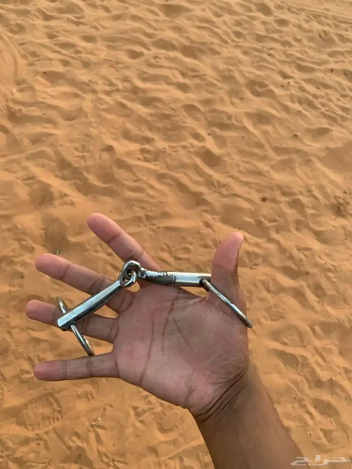 شكيمه خيل 0