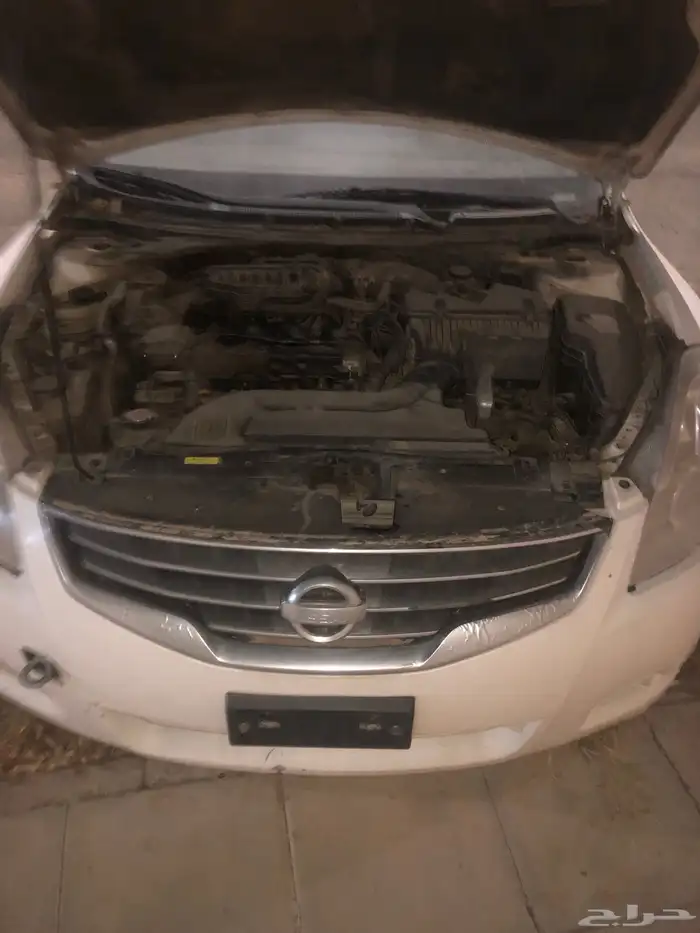 التيما 2010 14