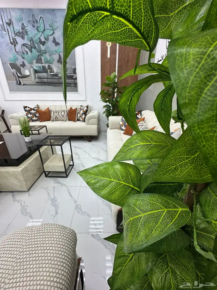 كنب الهبة الجديد موديل توركي ضمان 6سنوات 2