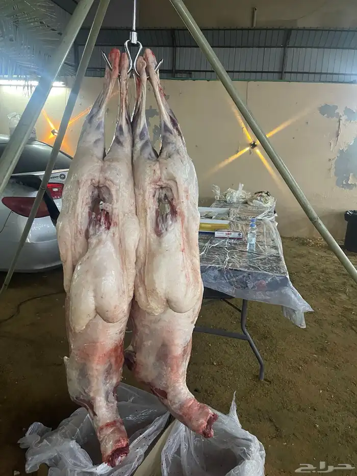 مشويات 3