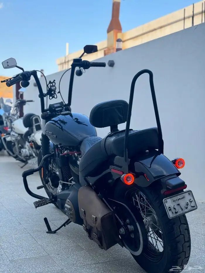 Harley Street Bob 2019   للبيع هارلي ستريت بوب 2019 4