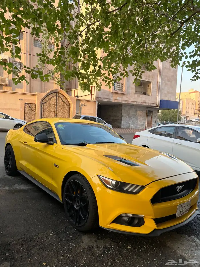 موستنج 2015 GT 2