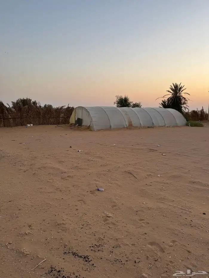 بيوت محميه 5
