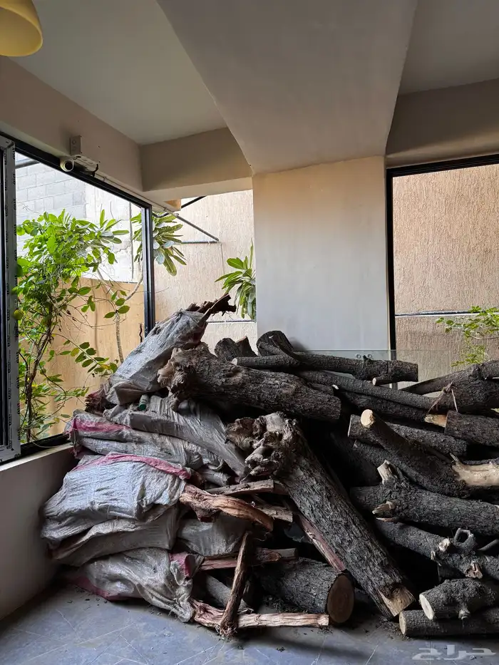 حطب اشجار جذوع حطب قرض افريقي مستورد 2