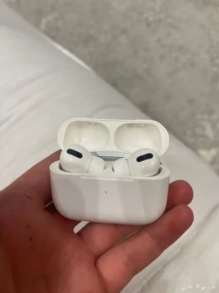 سمعات ابل و باقي وكاله 2