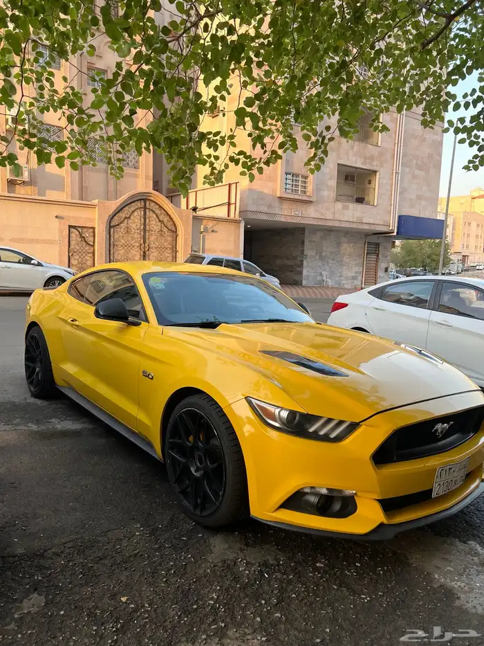 موستنج 2015 GT 1