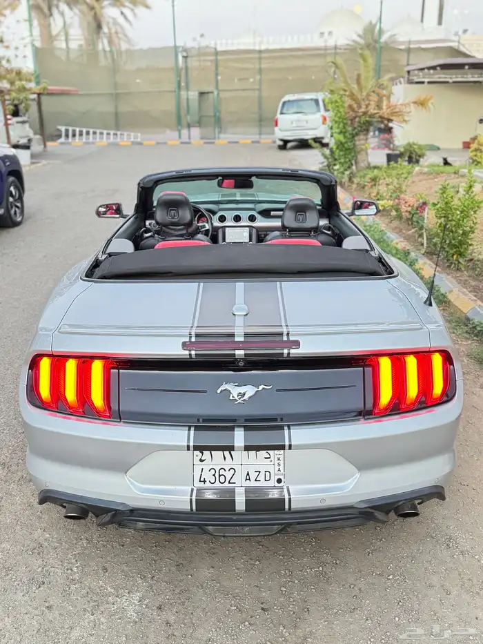 mustang 2019 5