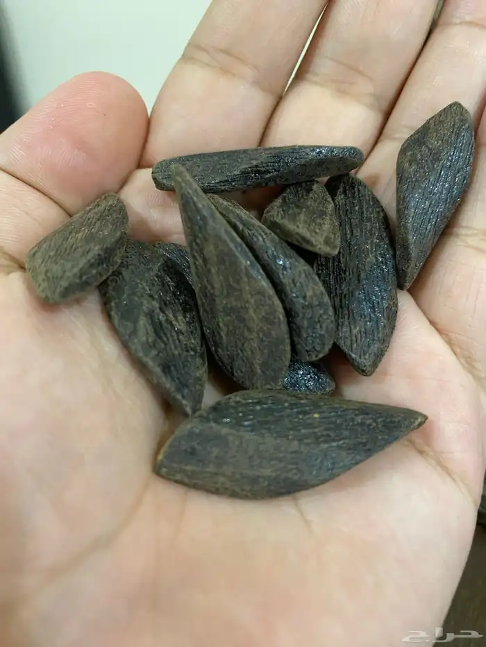 بخور مروكي فاخر 2