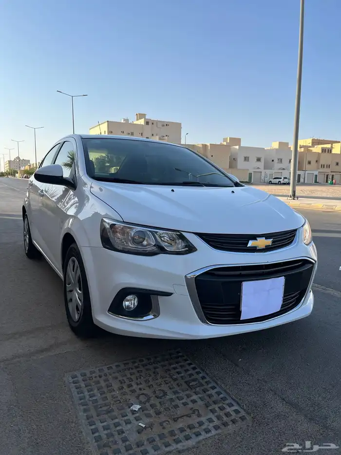 افيو 2019 2