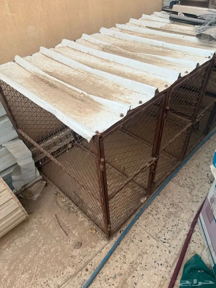 للبيع عزبه بيت شعر و عشش طيور و حديد 2