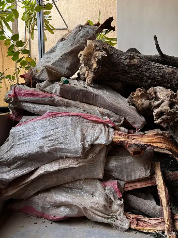 حطب اشجار جذوع حطب قرض افريقي مستورد 3