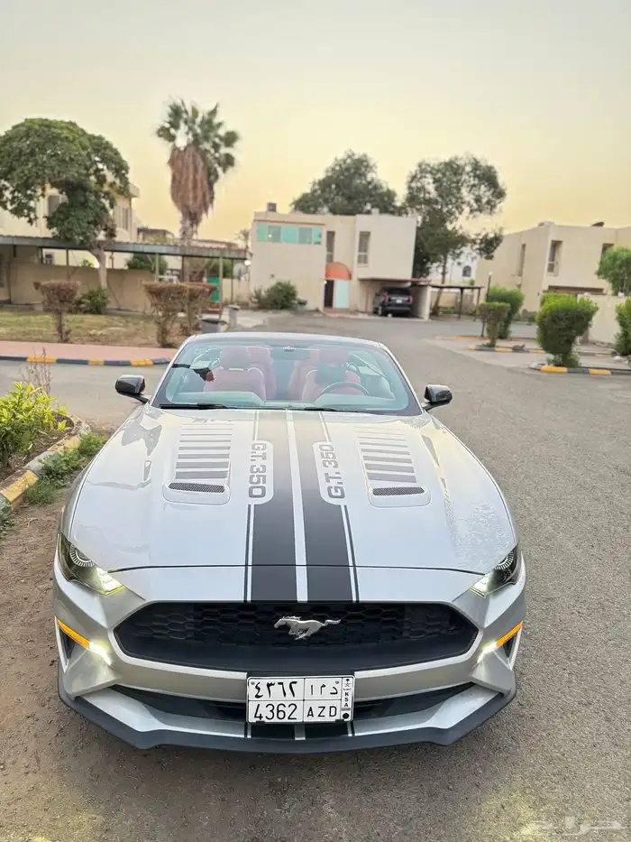 mustang 2019 8