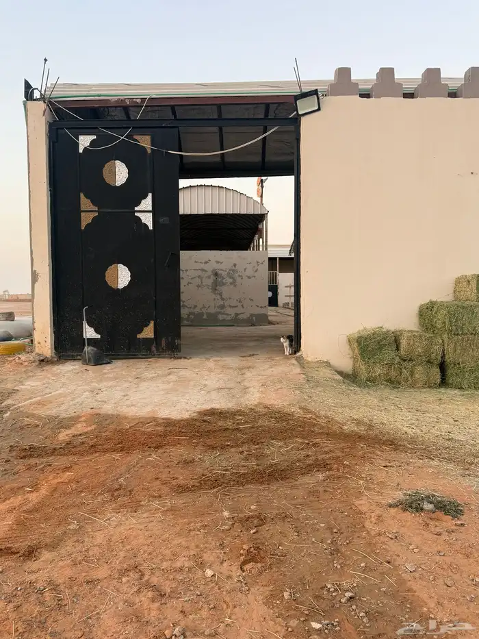 ايواء خيل  مفرق رماح 0